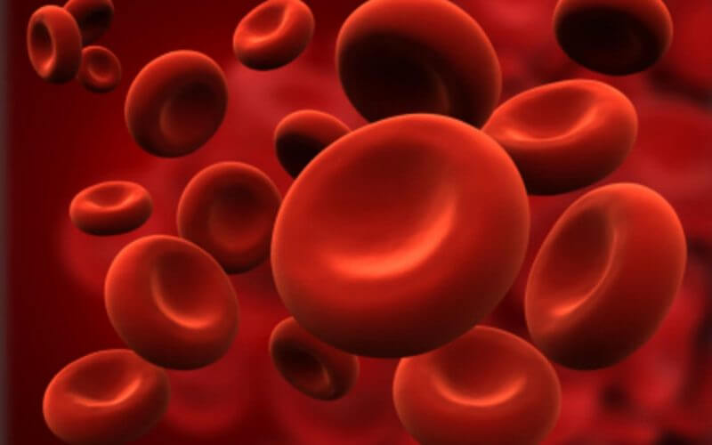 Blood platelets
