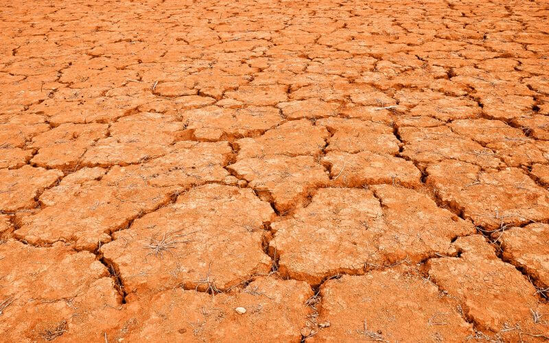 Xiidra, dry desert
