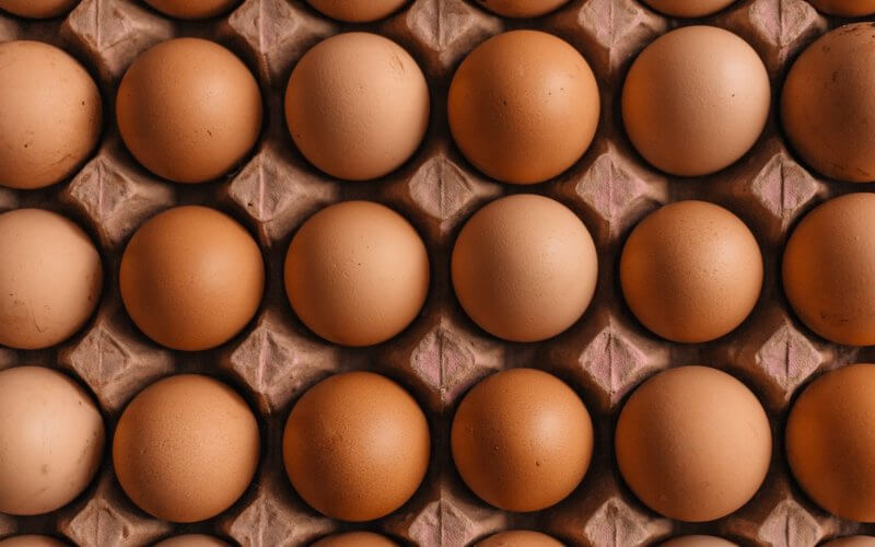 native egg lot